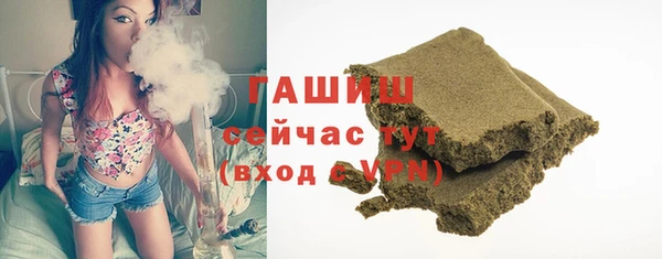 гашик Новозыбков