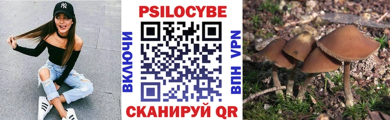 Псилоцибиновые грибы GOLDEN TEACHER  Волчанск 