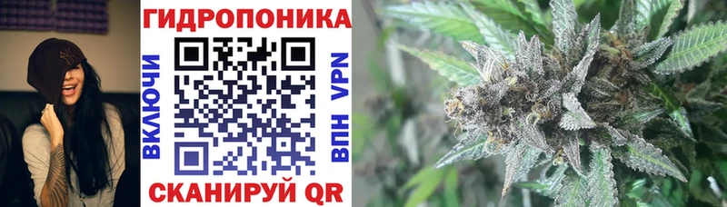 Конопля Amnesia Волчанск