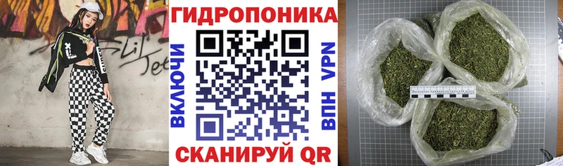 shop формула  купить  цена  Волчанск  Шишки марихуана конопля 
